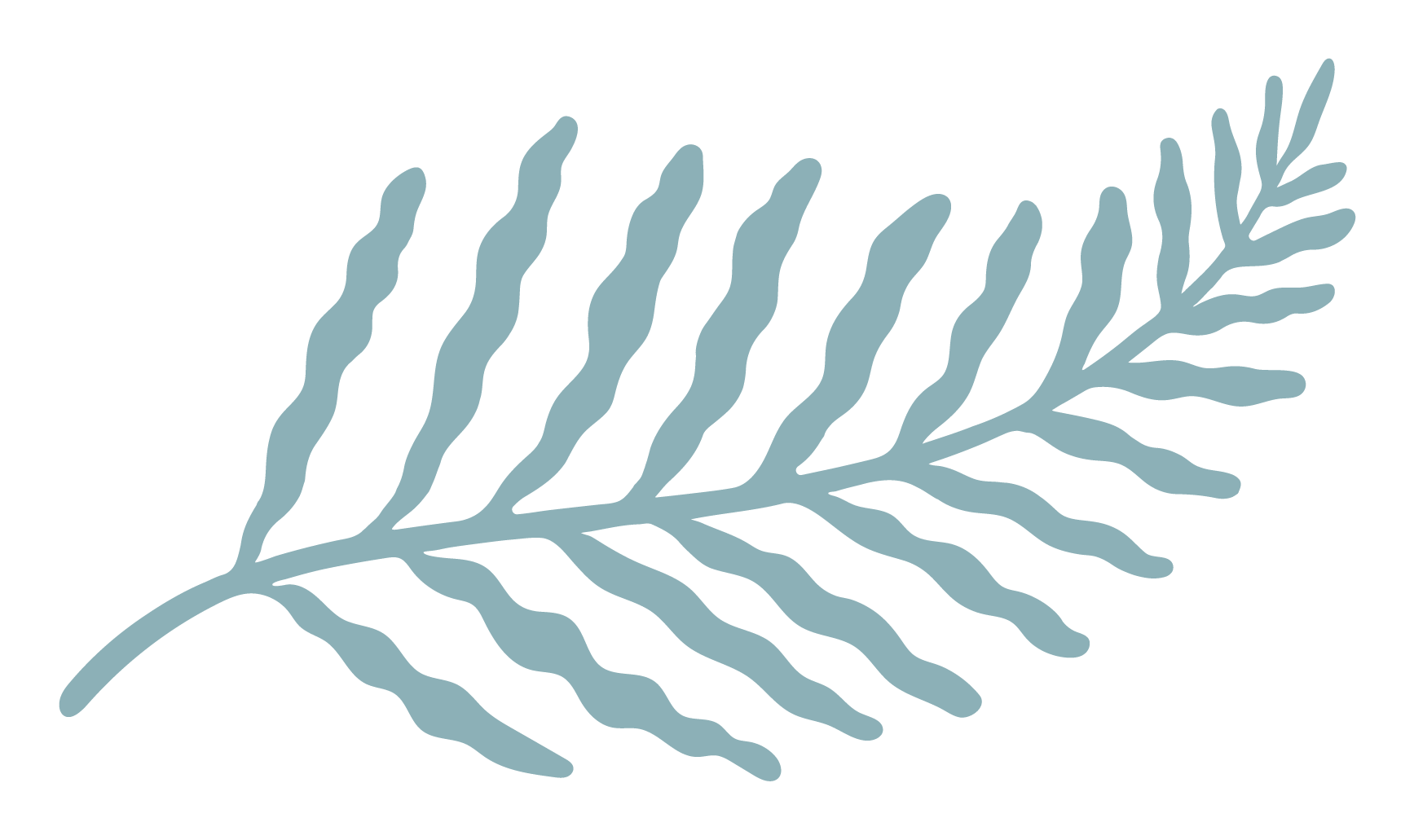 Colostrum Life Fern Leaf